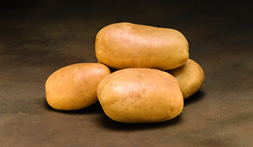 Estima Estima